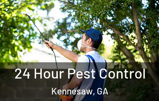  24 Hour Pest Control Kennesaw, GA