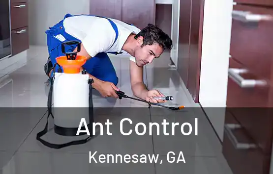  Ant Control Kennesaw, GA