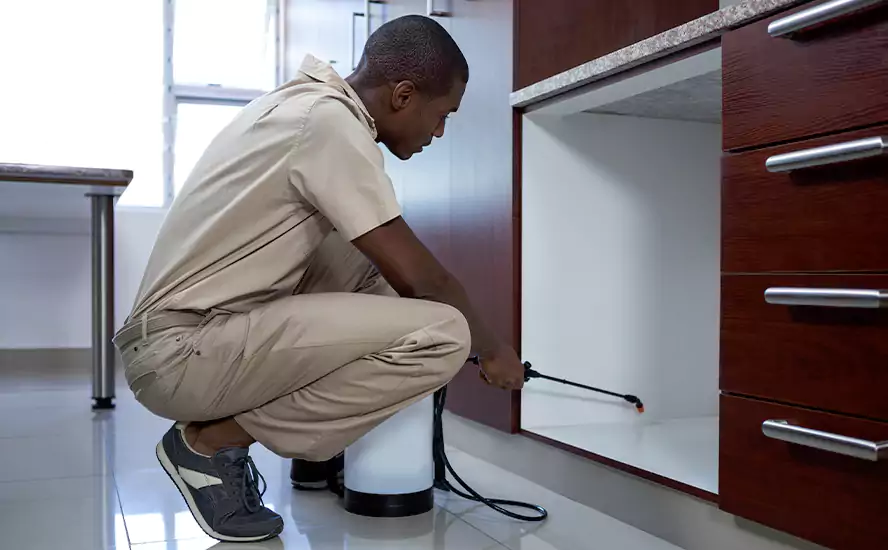 Top-Notch Pest Control in Kennesaw