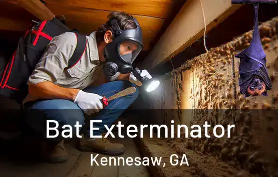  Bat Exterminator Kennesaw, GA