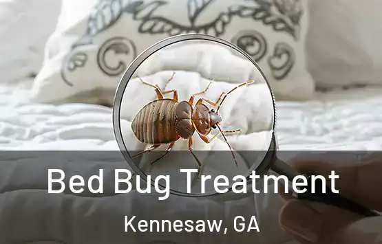  Bed Bug Treatment Kennesaw, GA