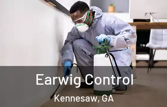  Earwig Control Kennesaw, GA