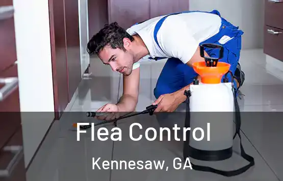  Flea Control Kennesaw, GA