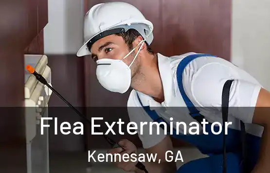  Flea Exterminator Kennesaw, GA