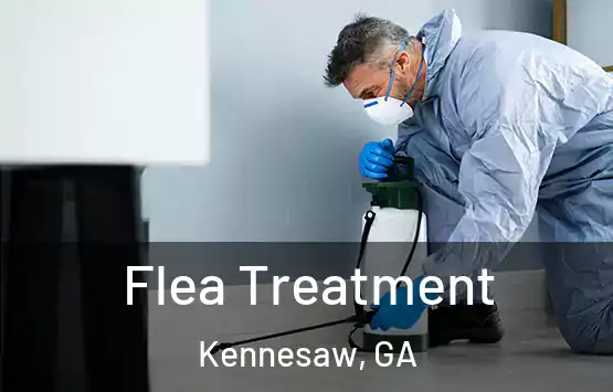  Flea Treatment Kennesaw, GA