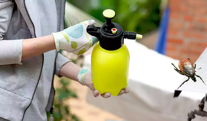 Ticks Pest Control Kennesaw, Georgia