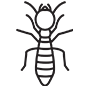 Termites Pest Control Kennesaw, Georgia