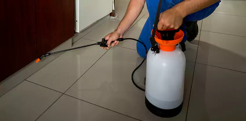 anay-treatment in Kennesaw, GA