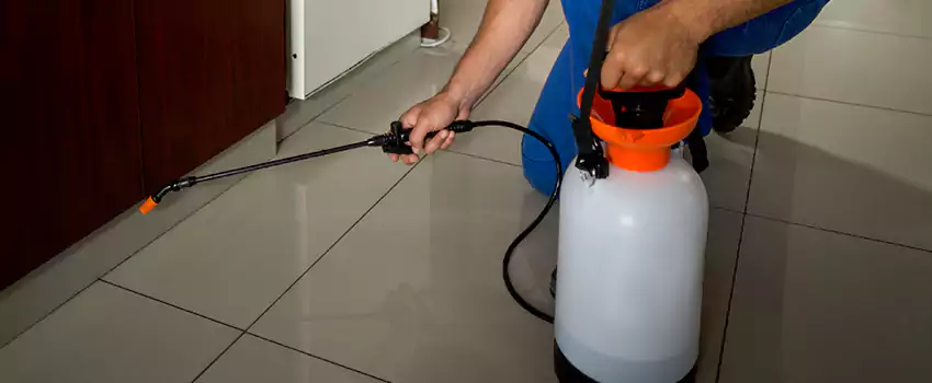 Prevent Future Roach Infestations Kennesaw, GA