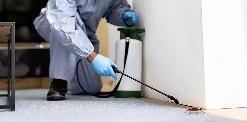 Commercial Pest Control for Offices in Kennesaw, GA