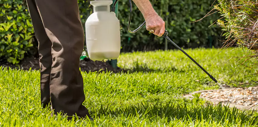 Grub Treatment for Bedrooms Kennesaw, GA