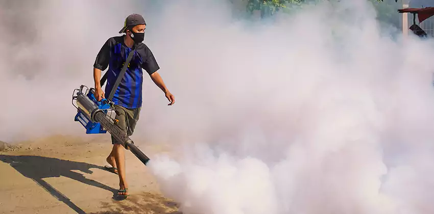 Bedrooms Mosquito Extermination in Kennesaw, GA