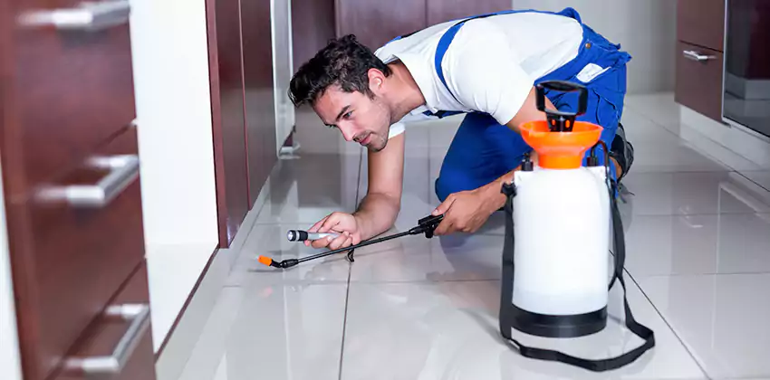 Protect Your Home with Our Pest Inspection Services Kennesaw, GA