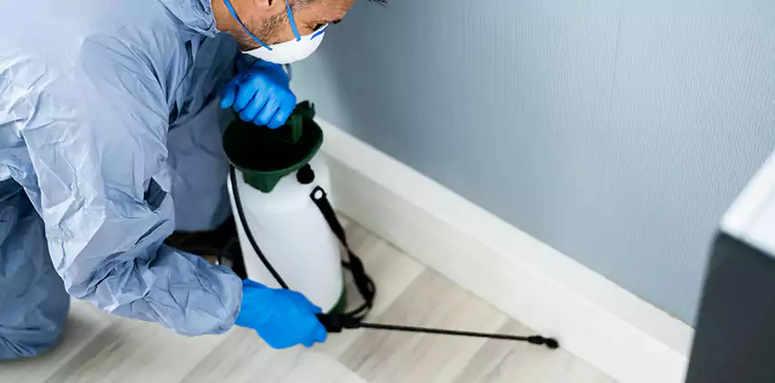 commercial-pest-exterminator in Kennesaw, GA