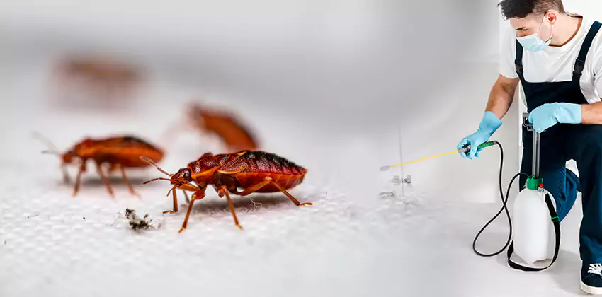 flea-control in Kennesaw, GA