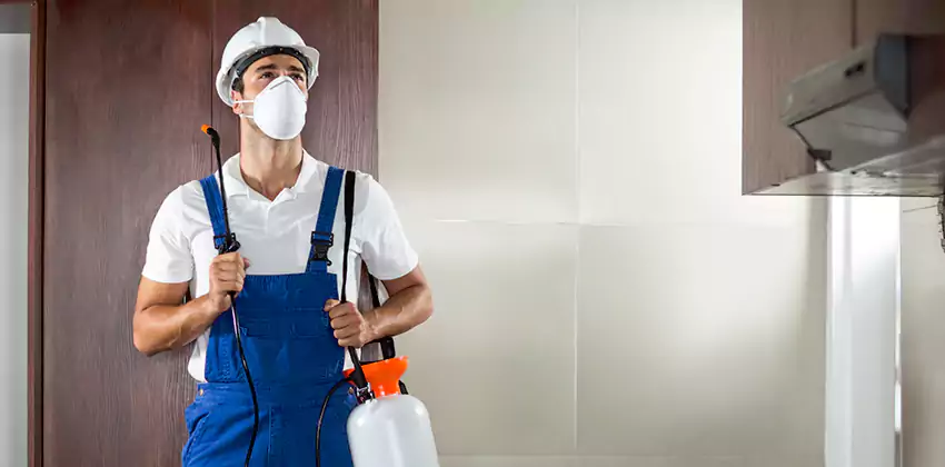 pest-inspection in Kennesaw, GA