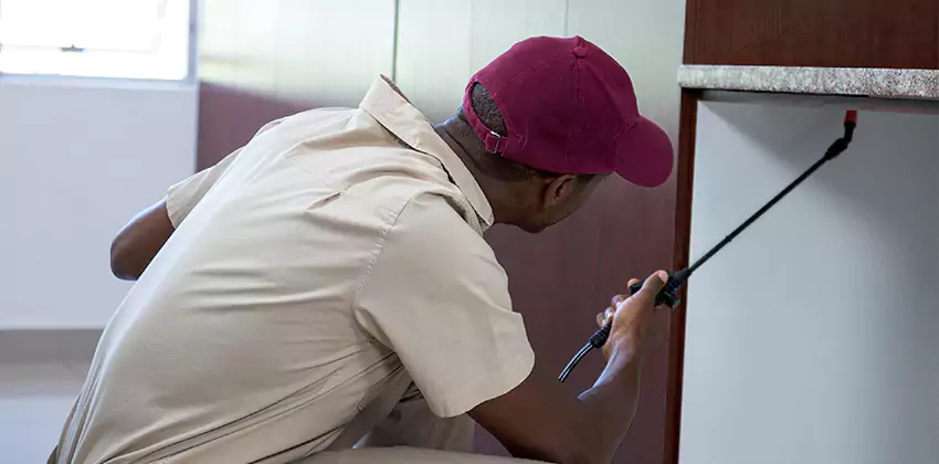 termite-inspection in Kennesaw, GA