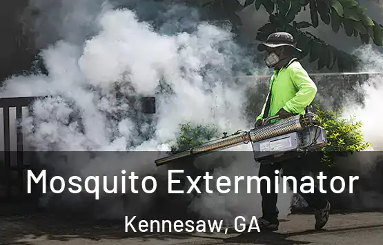  Mosquito Exterminator Kennesaw, GA