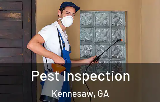 Pest Inspection Kennesaw, GA