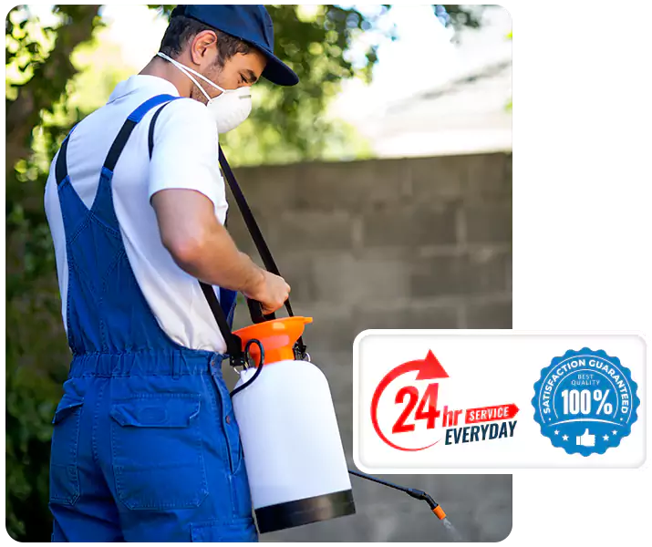 About Emergency Exterminator Kennesaw