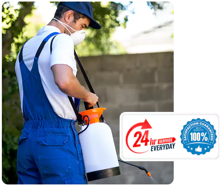 About Pest Inspection Kennesaw