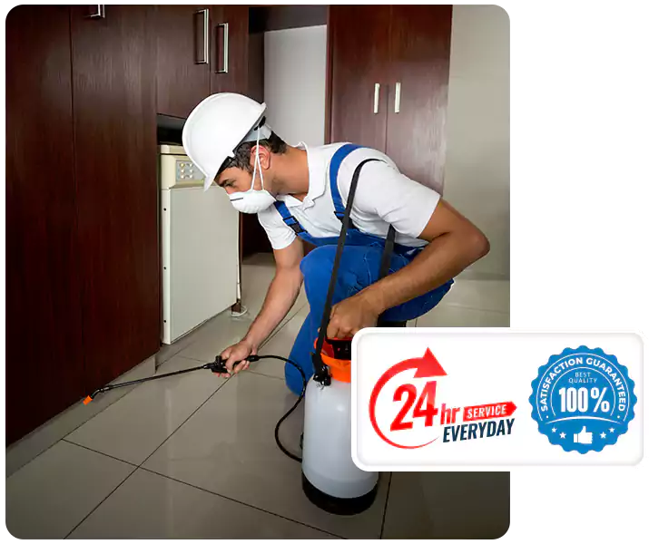 About Termite Treatment Kennesaw