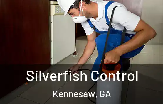  Silverfish Control Kennesaw, GA