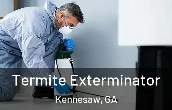 Termite Exterminator Kennesaw, GA