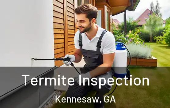  Termite Inspection Kennesaw, GA