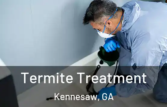  Termite Treatment Kennesaw, GA