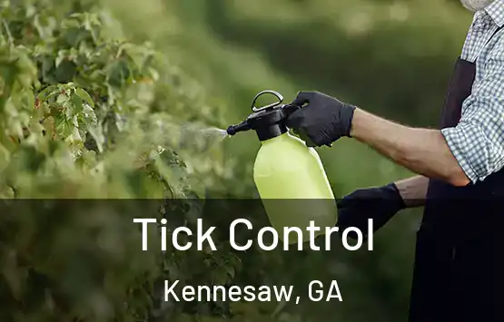  Tick Control Kennesaw, GA