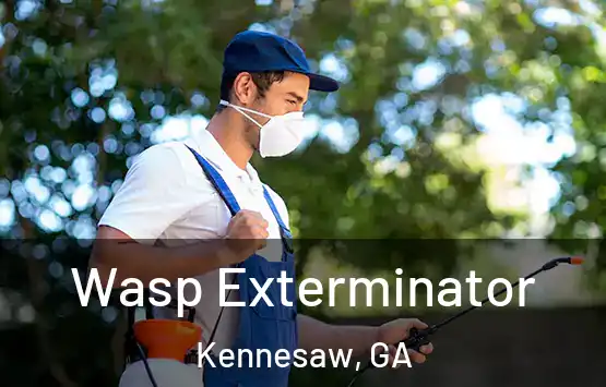  Wasp Exterminator Kennesaw, GA
