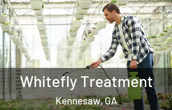  Whitefly Treatment Kennesaw, GA